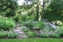 lavendar thyme path